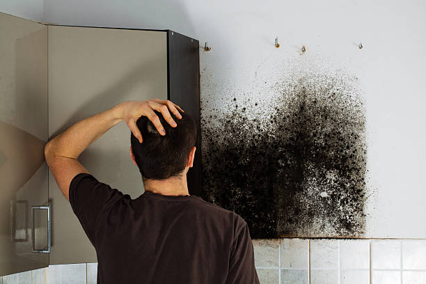 Crawl Space Mold Removal in Livingston, MT